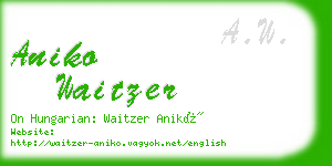 aniko waitzer business card